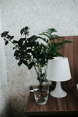 Imagen de la habitación del Hotel Matreshka, Irkutsk. Foto 9