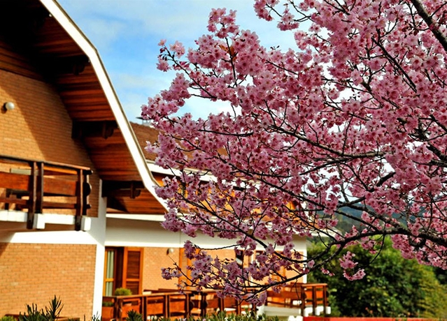 Imagen de los exteriores del Hotel Matsubara. Foto 6