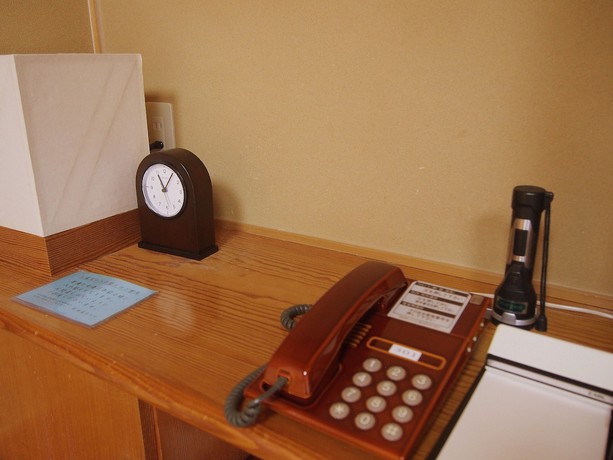 Imagen de la habitación del Hotel Matsudaya. Foto 15