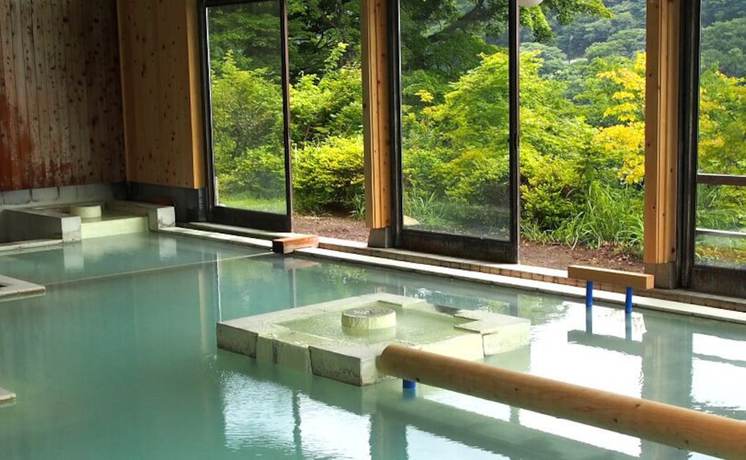 Imagen general del Hotel Matsukawaya Nasu Kogen. Foto 1