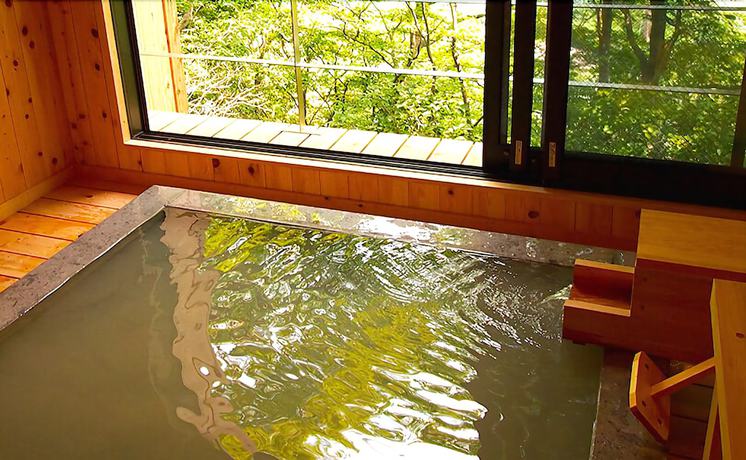 Imagen general del Hotel Matsukawaya Nasu Kogen. Foto 2