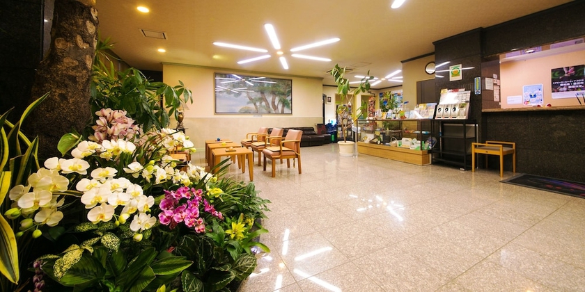 Imagen de los interiores del Hotel Matsukaze, Toyota. Foto 18