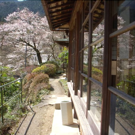 Imagen de los exteriores del Hotel Matsuno Onsen Suikoen. Foto 12