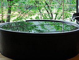Imagen de los exteriores del Hotel Matsunoi, Minakami. Foto 3
