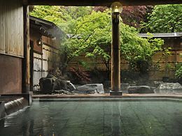 Imagen de los interiores del Hotel Matsunoi, Minakami. Foto 6