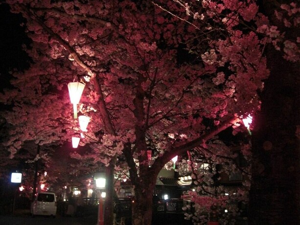 Imagen general del Hotel Matsuya, Toyooka. Foto 21