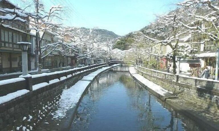 Imagen de la piscina del Hotel Matsuya, Toyooka. Foto 39