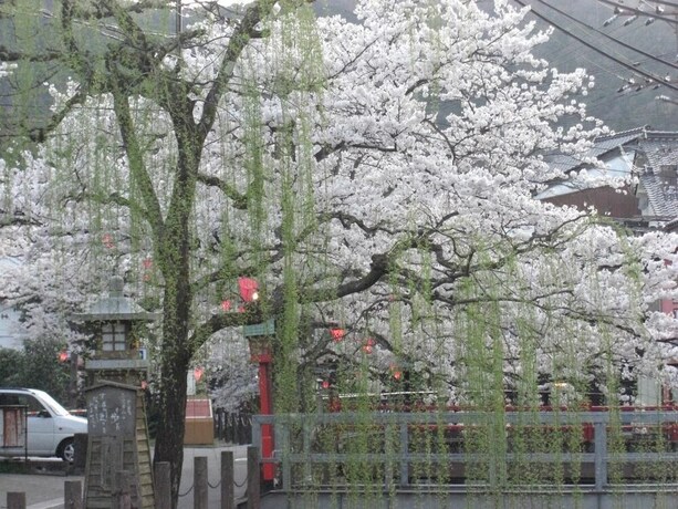 Imagen de los exteriores del Hotel Matsuya, Toyooka. Foto 33
