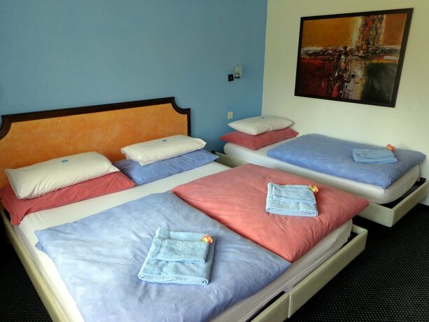 Imagen de la habitación del Hotel Matterhorn Paradise. Foto 11