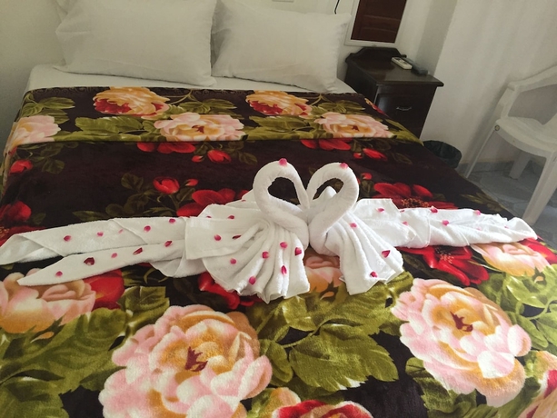 Imagen de la habitación del Hotel Matus Guest House. Foto 2
