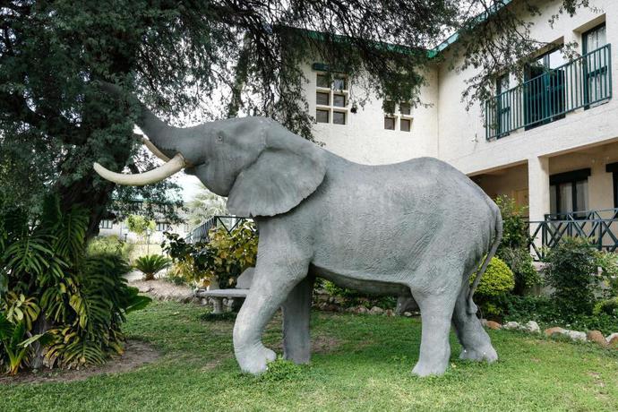 Imagen de los exteriores del Hotel Maun Lodge. Foto 6