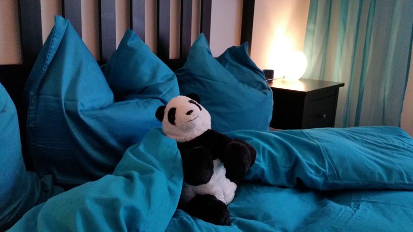 Imagen de la habitación del Hotel Max Aviation Villa and Apartments. Foto 11