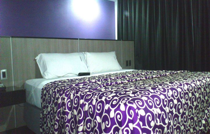 Imagen de la habitación del Hotel Max, Ciudad de México. Foto 10