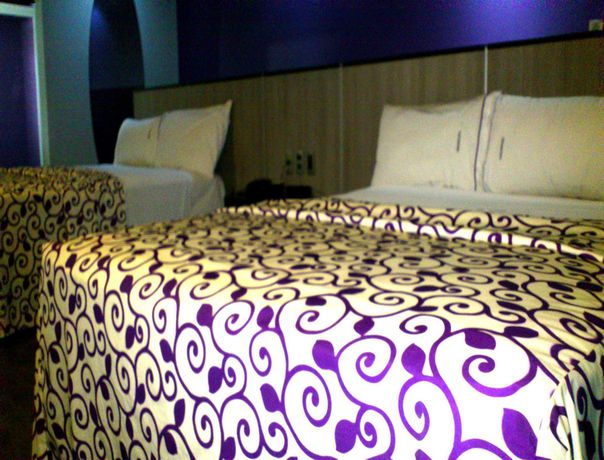 Imagen general del Hotel Max, Ciudad de México. Foto 3