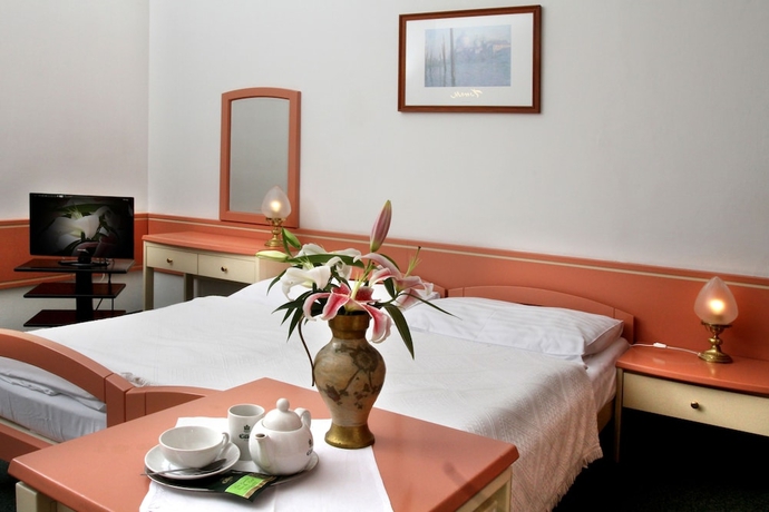 Imagen de la habitación del Hotel Maxim, Marianske Lazne. Foto 8