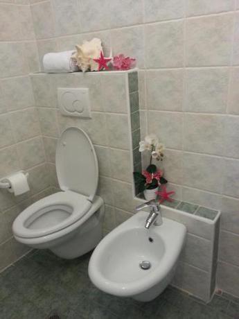 Imagen general del Hotel Maxim, Misano Adriatico. Foto 4