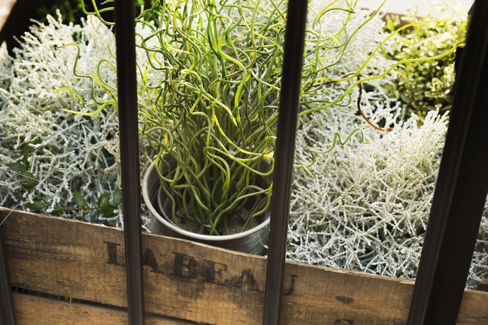 Imagen de los interiores del Hotel Maxim Quartier Latin. Foto 15