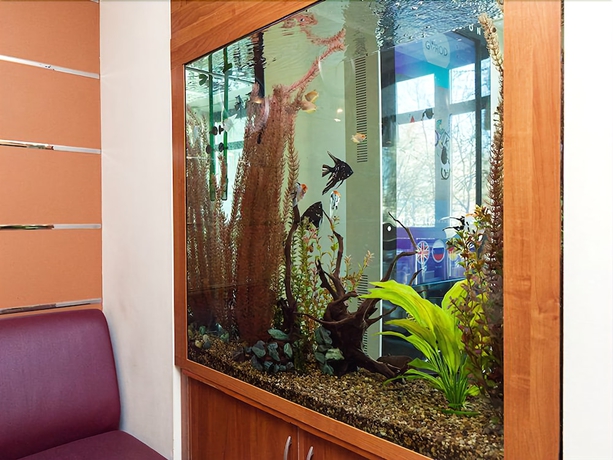 Imagen de los interiores del Hotel Maxima Slavia. Foto 17