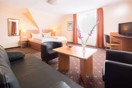 Imagen de la habitación del Hotel Maximilian, Weil am Rhein. Foto 8