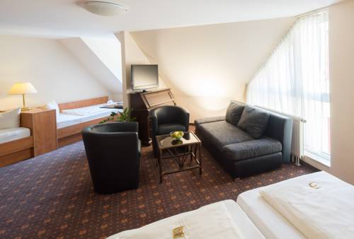 Imagen de la habitación del Hotel Maximilian, Weil am Rhein. Foto 9