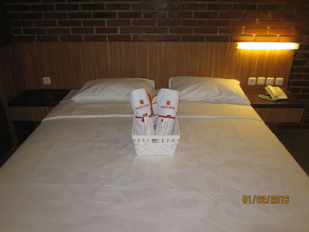 Imagen de la habitación del Hotel Maxley@arjuna. Foto 1