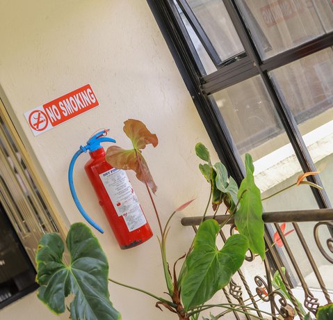 Imagen de los interiores del Hotel Maxoil. Foto 20