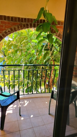 Imagen de la habitación del Hotel Maxwell Holiday Club. Foto 5