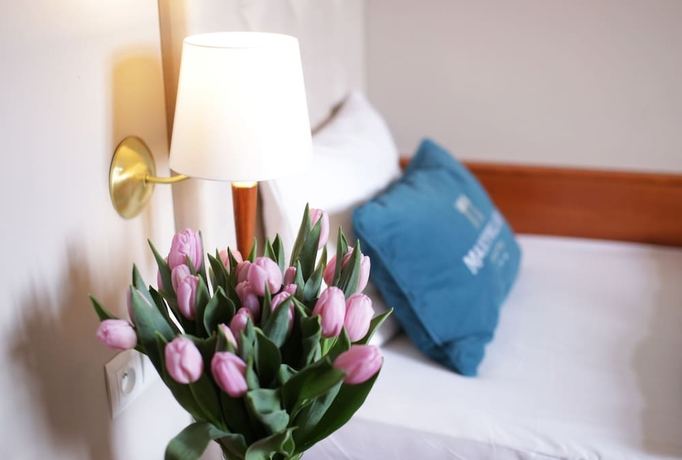 Imagen de la habitación del Hotel Maxymilian. Foto 5