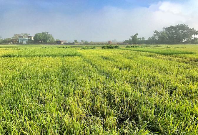 Imagen general del Hotel May Homestay Ninh Binh. Foto 3