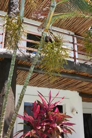 Imagen de los exteriores del Hotel Maya Del Carmen. Foto 11