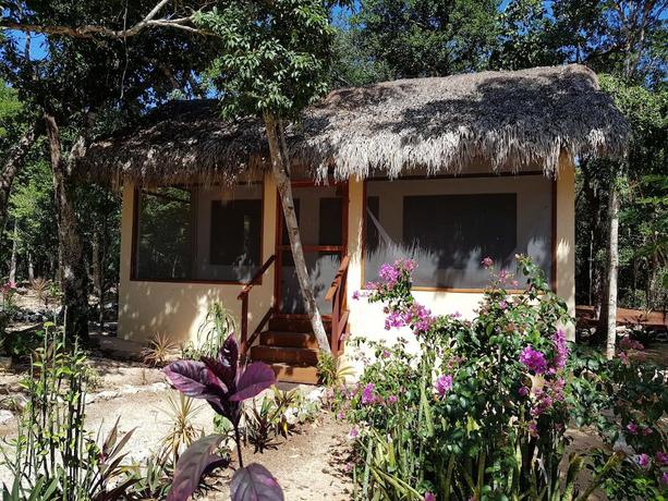 Imagen general del Hotel Maya Eco Village. Foto 3