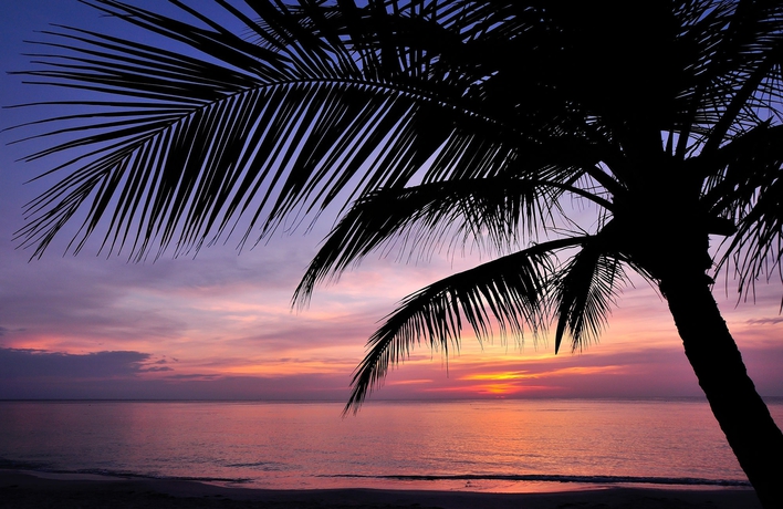 Imagen de los exteriores del Hotel Mayan Princess Beach and Dive Resort - All Inclusive. Foto 11