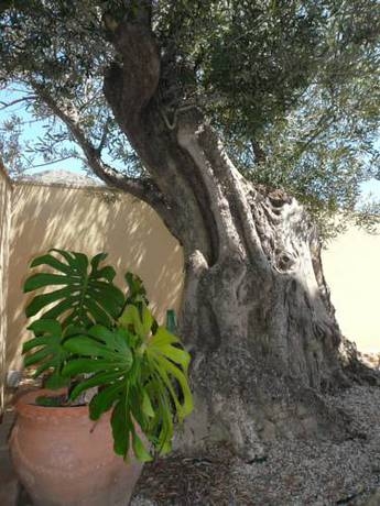 Imagen general del Hotel Mayarí. Foto 8