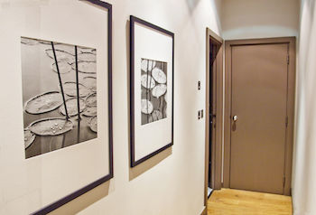 Imagen general del Hotel Mayfair Apartments. Foto 6