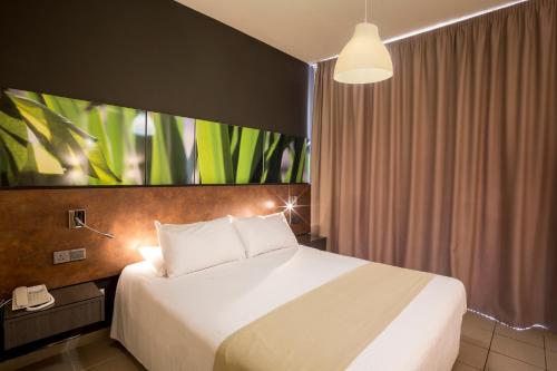 Imagen de la habitación del Hotel Mayfair Gardens. Foto 2