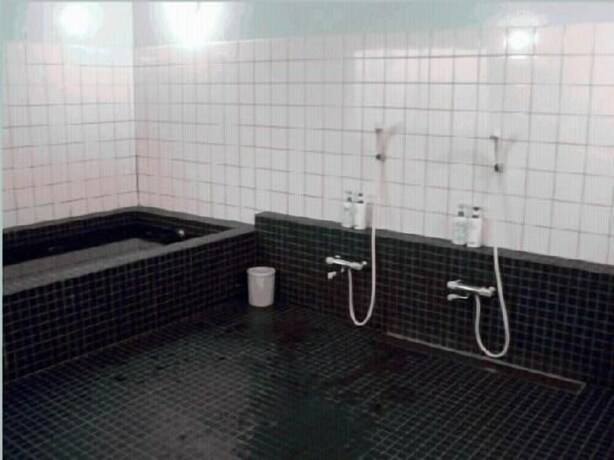 Imagen de la habitación del Hotel Mayflower Sendai. Foto 22