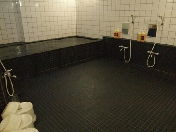 Imagen de la piscina del Hotel Mayflower Sendai. Foto 35