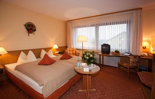 Imagen general del Hotel May-hof. Foto 3