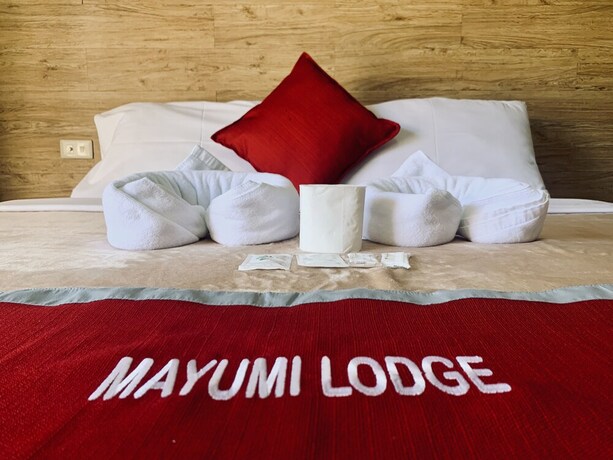 Imagen de la habitación del Hotel Mayumi Lodge. Foto 23