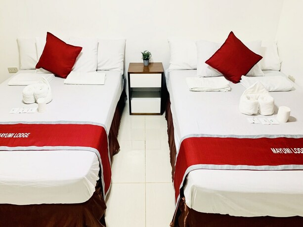 Imagen de la habitación del Hotel Mayumi Lodge. Foto 33