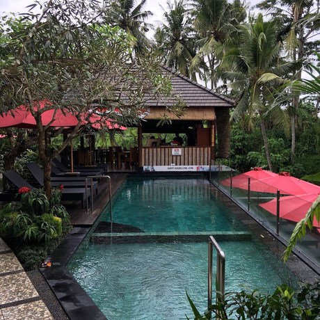 Imagen de la piscina del Hotel Mayura Ubud Retreat. Foto 13