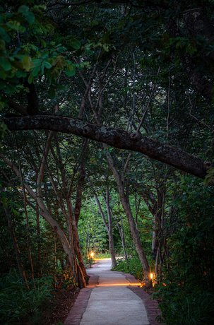 Imagen de la habitación del Hotel Mbano Manor Victoria Falls By Mantis. Foto 13