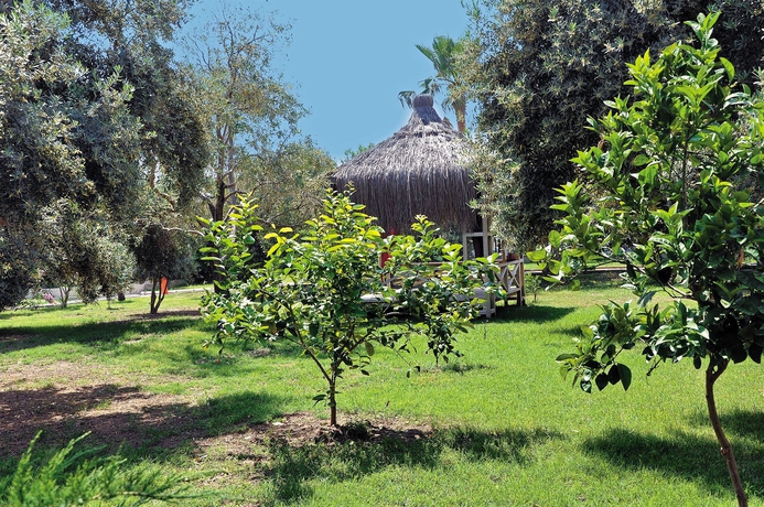 Imagen de los exteriores del Hotel M.c Mahberi Beach &ndash; All Inclusive. Foto 8