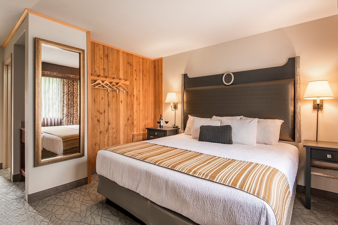 Imagen de la habitación del Hotel McKinley Chalet Resort. Foto 9