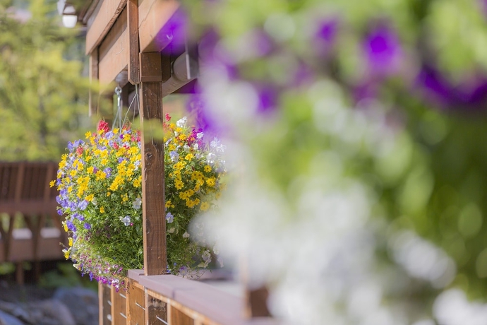 Imagen de los exteriores del Hotel McKinley Chalet Resort. Foto 12