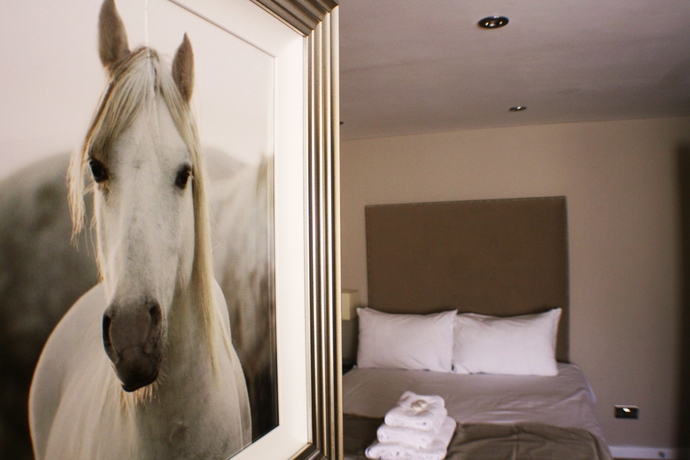 Imagen de la habitación del Hotel Mccafferty’s Guesthouse. Foto 6