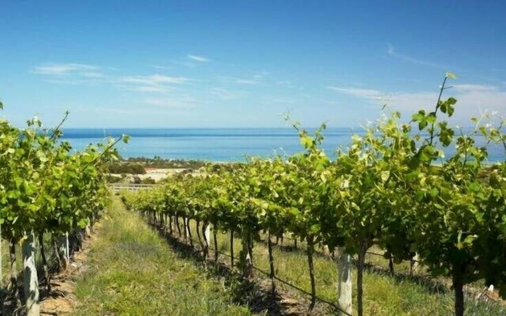 Imagen general del Hotel Mclaren Vale Backpackers. Foto 2