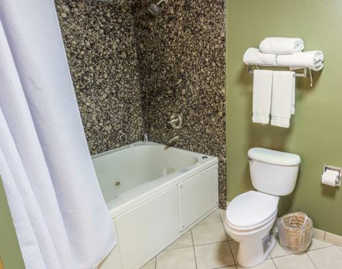 Imagen de la habitación del Hotel Mcm Elegante Lodge and Suites Ruidoso. Foto 7