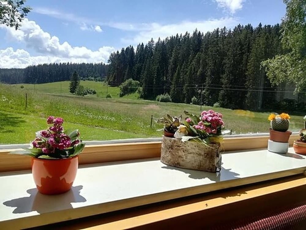 Imagen de la habitación del Hotel Md Kaltenbach. Foto 9