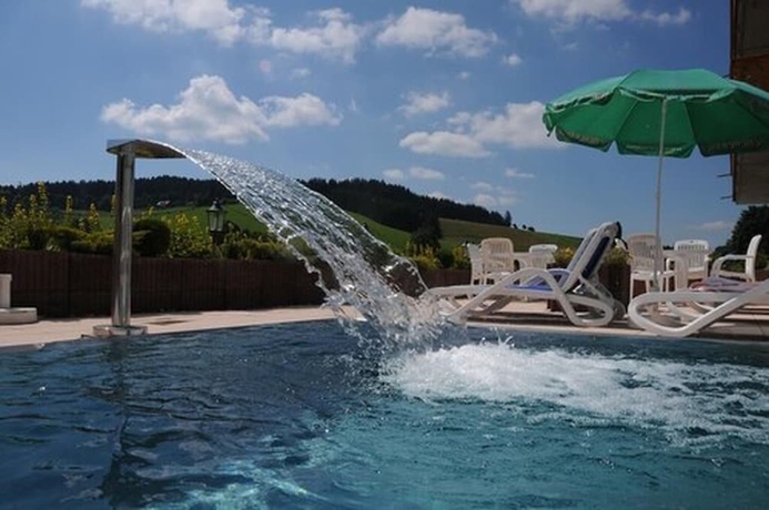Imagen de la piscina del Hotel Md Kaltenbach. Foto 16